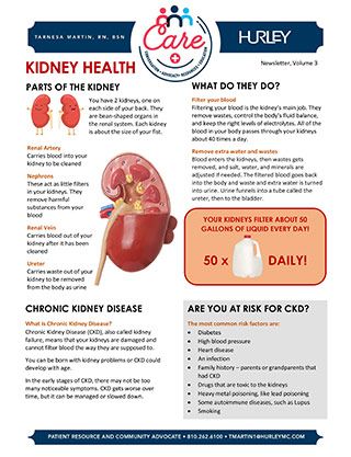 Hurley Care Newsletter - Kidney Health (Vol. 3)